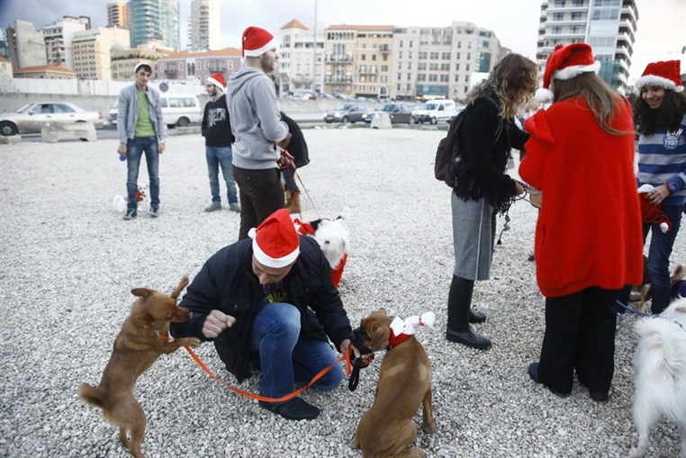 Fun Walk With Santa